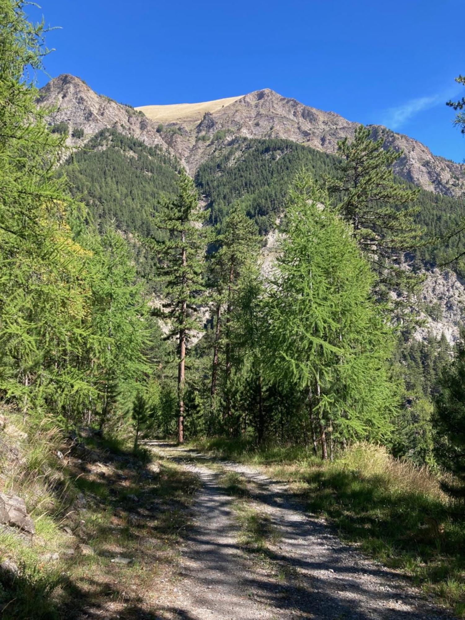 Appartement Les Mélèzes à Barcelonnette Extérieur photo